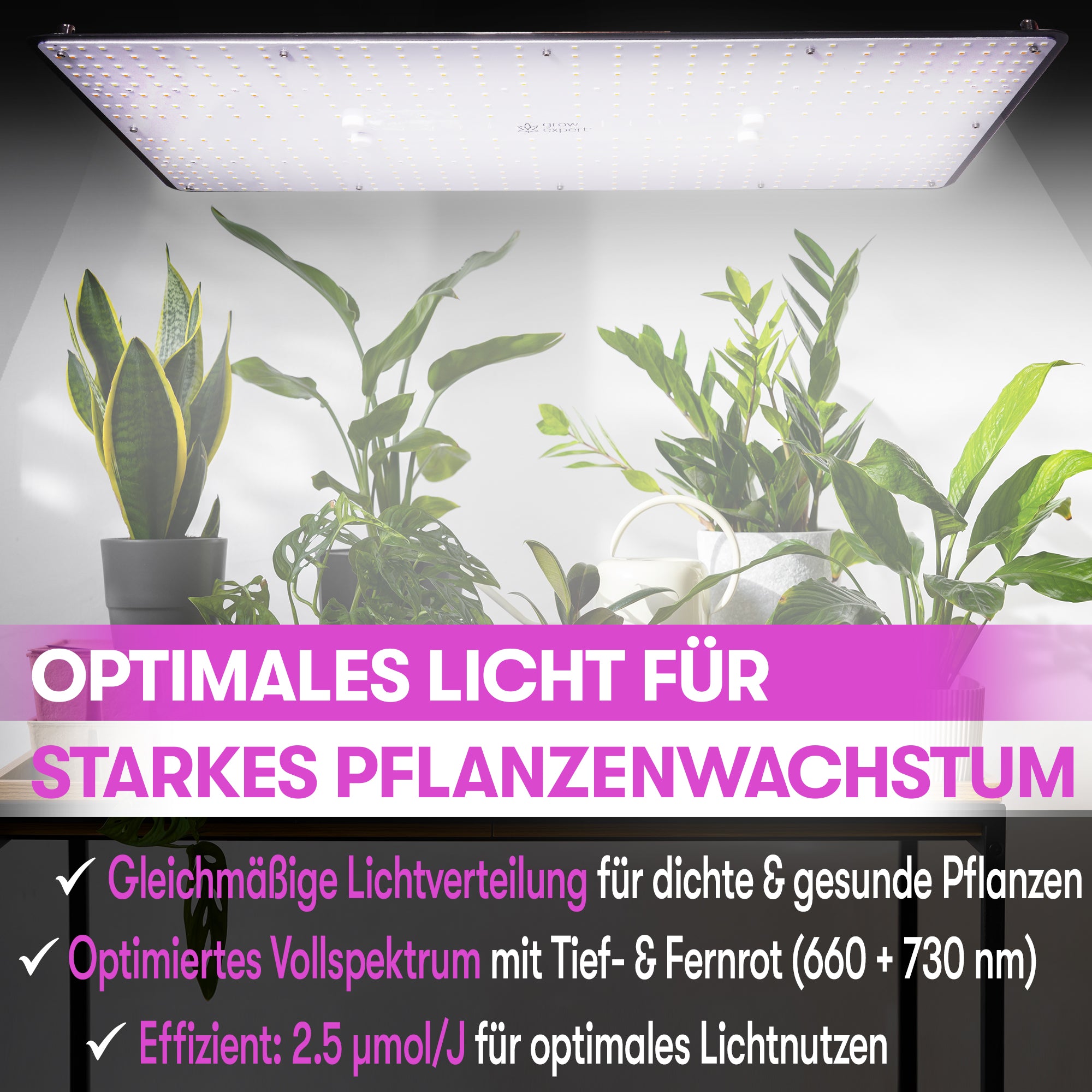 Grow Expert 200W LED Grow Lampe – Volles Spektrum & Energieeffizient